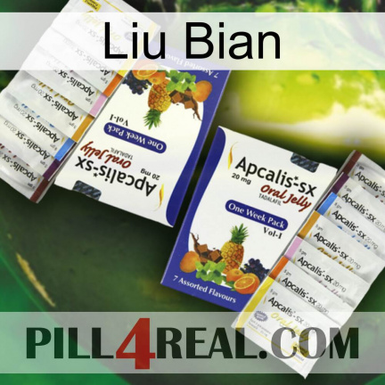 Liu Bian 12